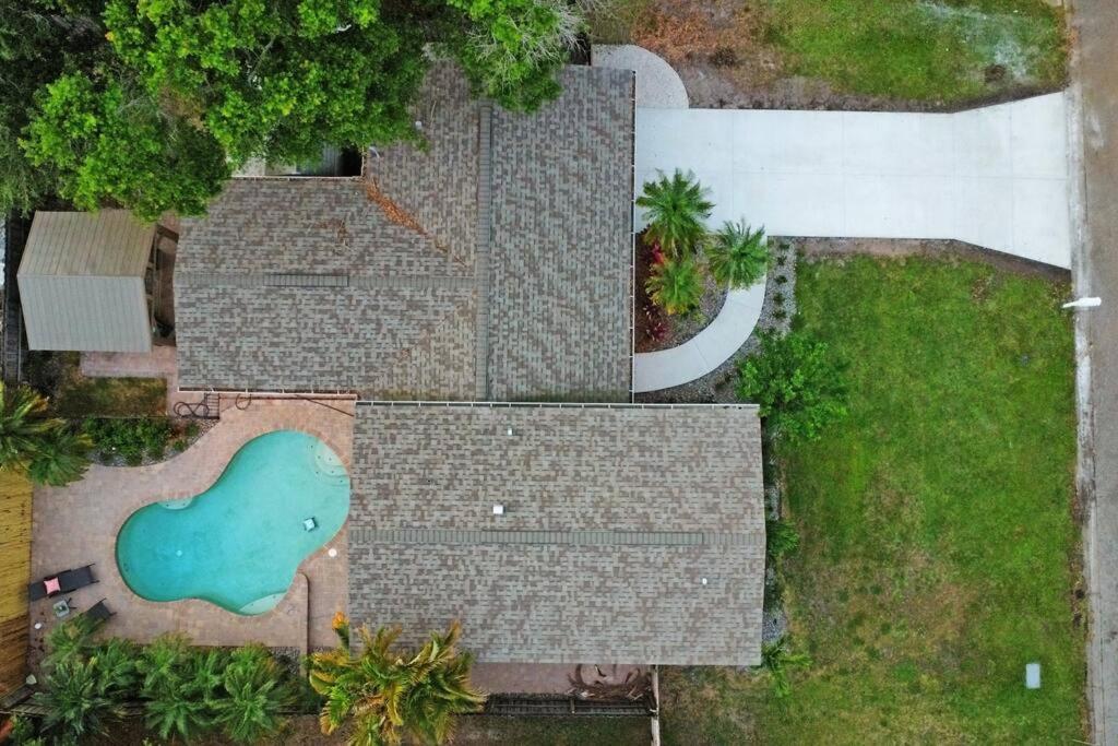 Palm Tree Paradise Tampa Pool Home Екстер'єр фото